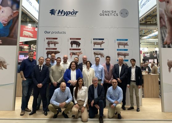 hendrix-genetics_303713